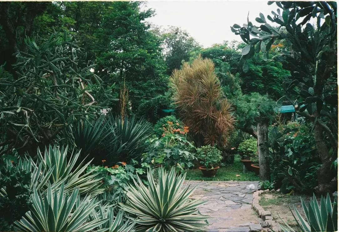 GrünArt Gartenbau 15