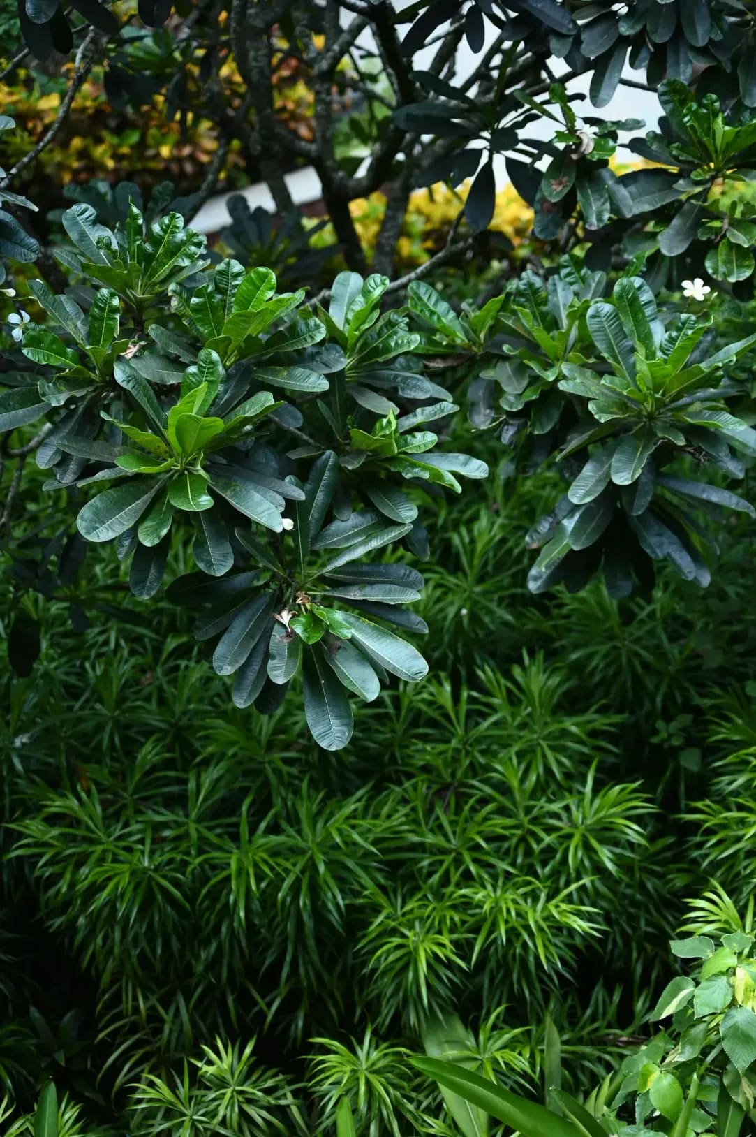 GrünArt Gartenbau 2