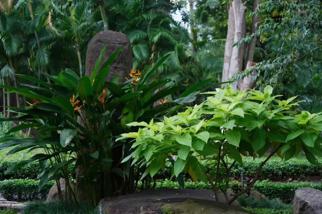 GrünArt Gartenbau 9