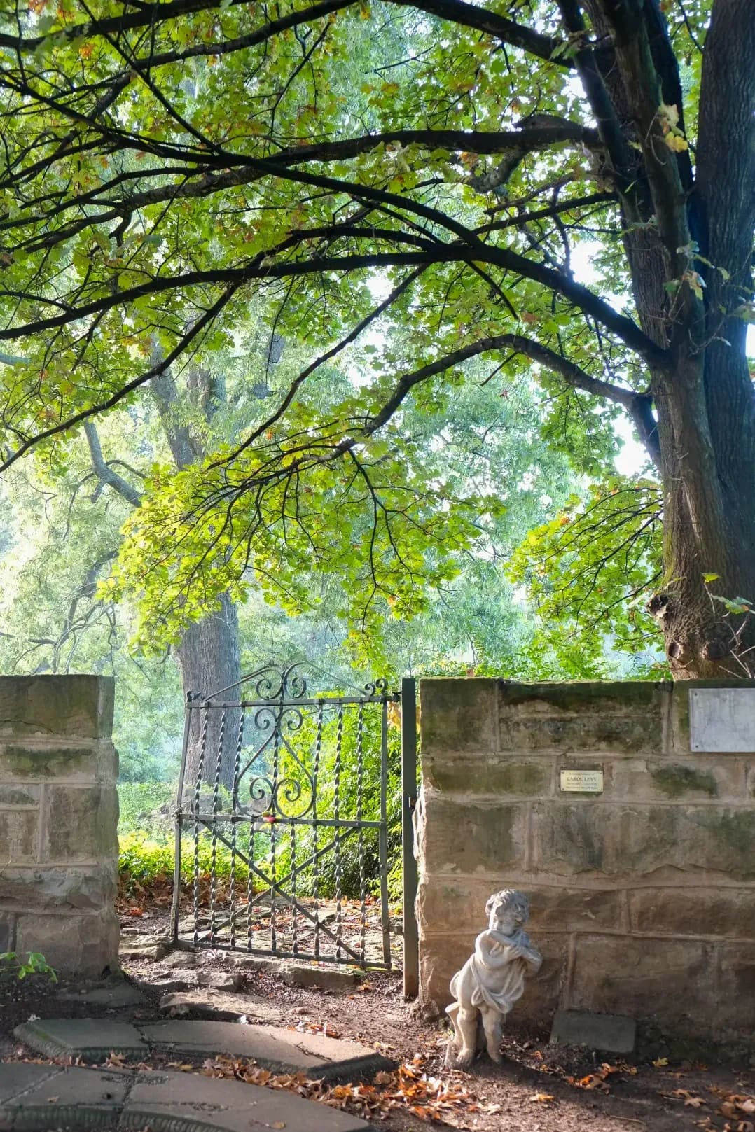 Gartenumgestaltungen
